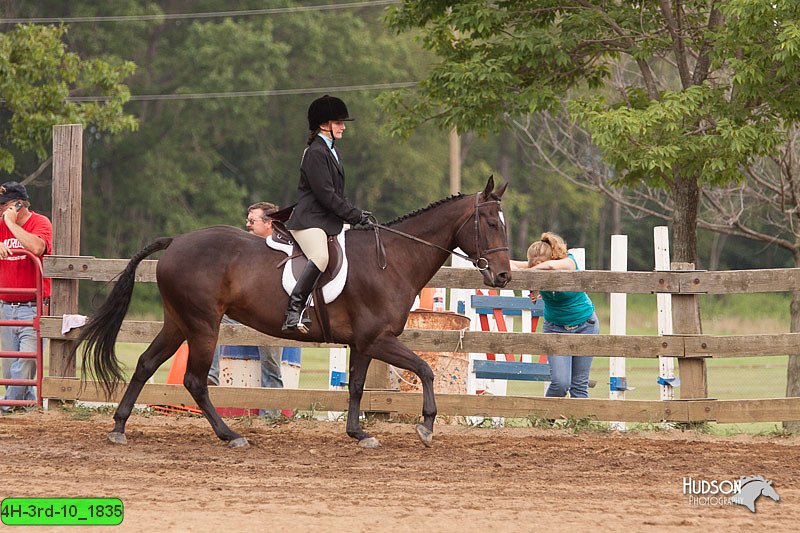 4H-3rd-10_1835.jpg