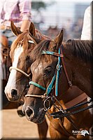 4H-3rd-10_0587.jpg
