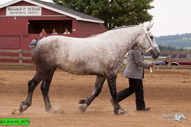 4H-3rd-10_0670.jpg
