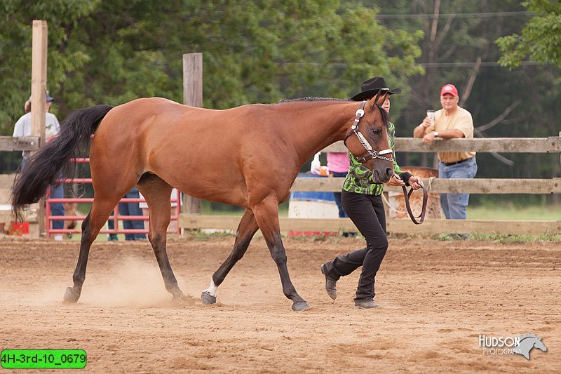 4H-3rd-10_0679.jpg
