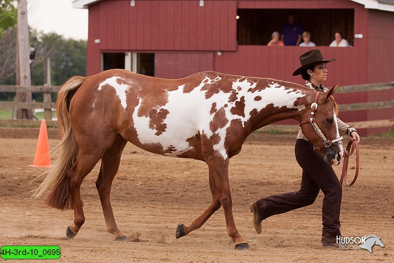 4H-3rd-10_0695.jpg