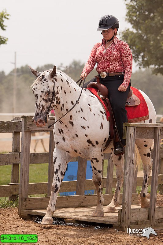 4H-3rd-10_1547.jpg
