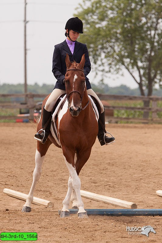 4H-3rd-10_1564.jpg