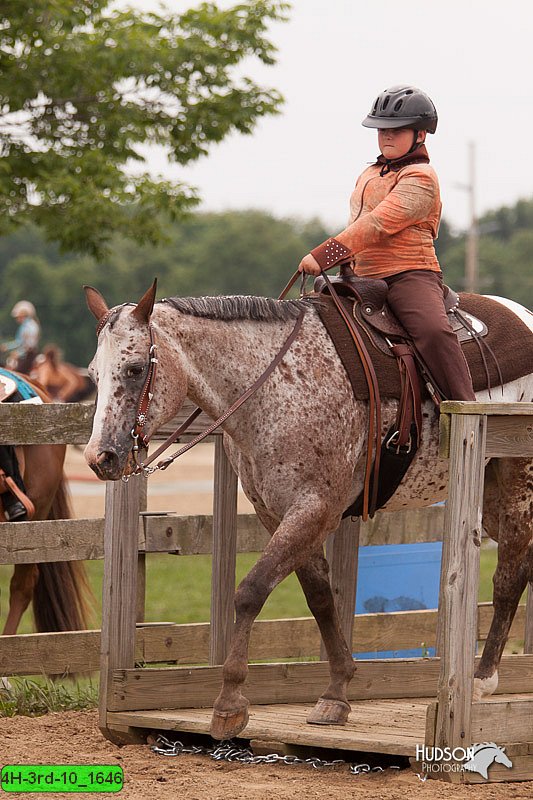 4H-3rd-10_1646.jpg