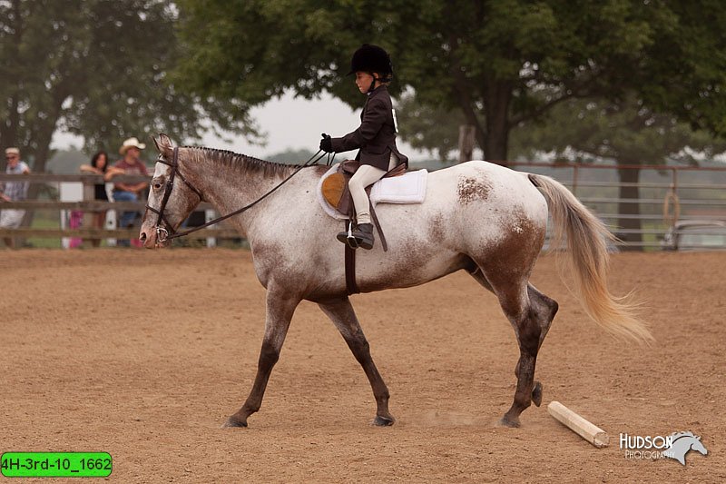 4H-3rd-10_1662.jpg