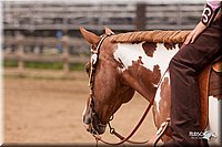4H-3rd-10_1578.jpg