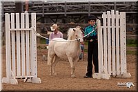 4H-3rd-10_1699.jpg