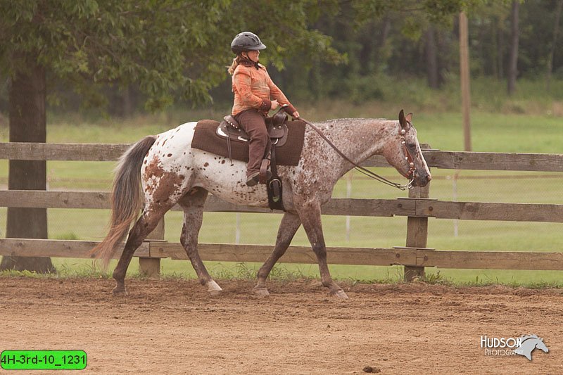 4H-3rd-10_1231.jpg