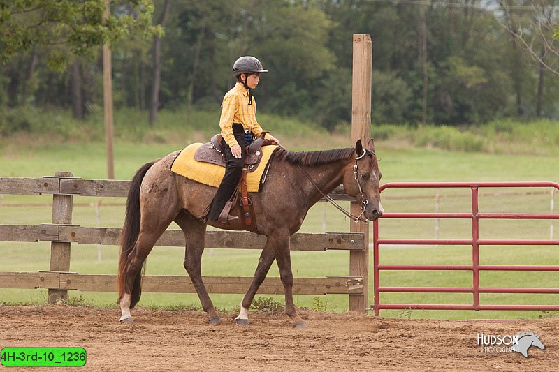 4H-3rd-10_1236.jpg