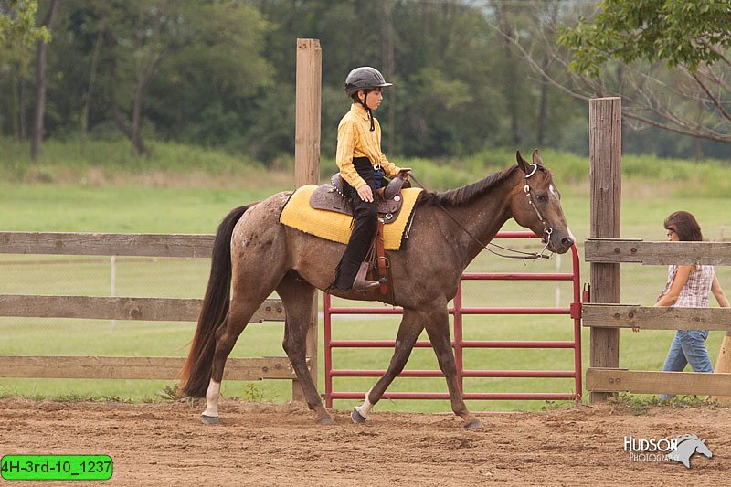 4H-3rd-10_1237.jpg