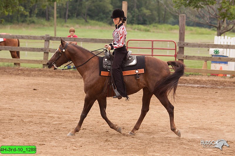 4H-3rd-10_1288.jpg
