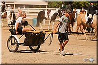 4H-Dsts-10_2036.jpg