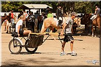 4H-Dsts-10_2037.jpg