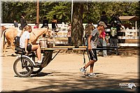 4H-Dsts-10_2038.jpg