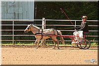 4H-Dsts-10_0767.jpg