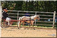 4H-Dsts-10_0777.jpg