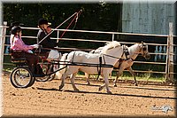 4H-Dsts-10_0778.jpg