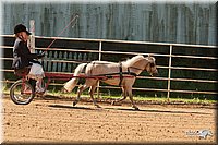 4H-Dsts-10_0789.jpg