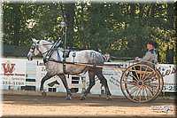 4H-Dsts-10_1650.jpg