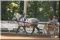 4H-Dsts-10_1651.jpg