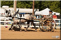 4H-Dsts-10_1660.jpg
