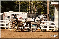 4H-Dsts-10_1668.jpg