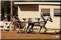 4H-Dsts-10_1669.jpg