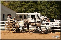 4H-Dsts-10_1671.jpg