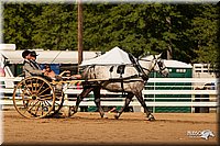 4H-Dsts-10_1673.jpg