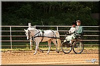 4H-Dsts-10_1679.jpg