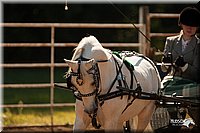 4H-Dsts-10_1692.jpg