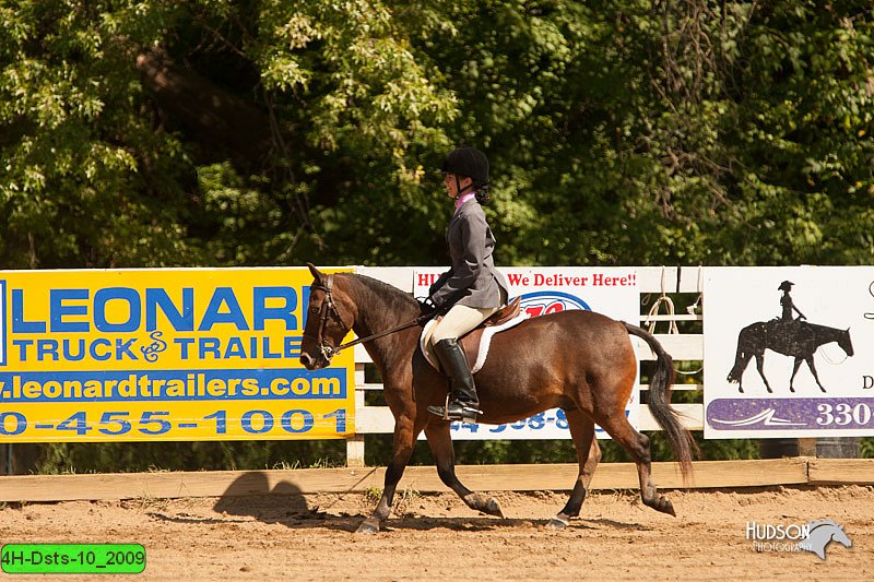 4H-Dsts-10_2009.jpg