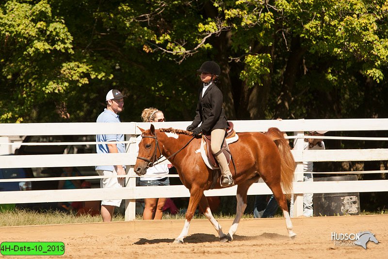 4H-Dsts-10_2013.jpg