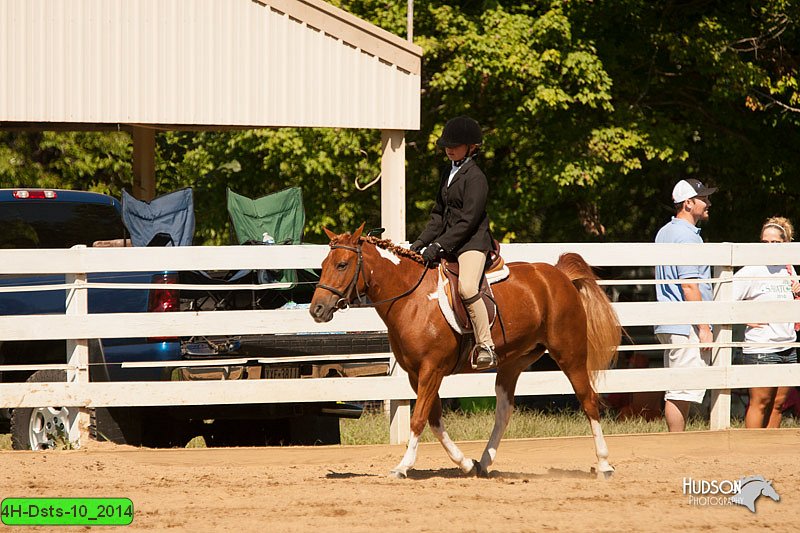 4H-Dsts-10_2014.jpg