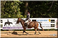 4H-Dsts-10_2008.jpg