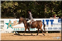 4H-Dsts-10_2011.jpg