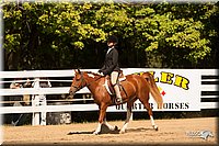 4H-Dsts-10_2012.jpg