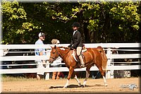 4H-Dsts-10_2013.jpg