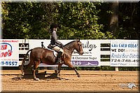 4H-Dsts-10_2017.jpg