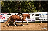 4H-Dsts-10_2019.jpg