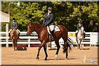 4H-Dsts-10_2050.jpg
