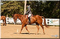 4H-Dsts-10_2055.jpg