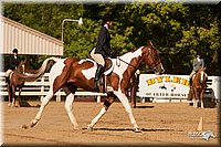 4H-Dsts-10_2070.jpg