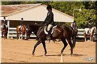 4H-Dsts-10_2099.jpg