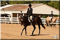 4H-Dsts-10_2100.jpg