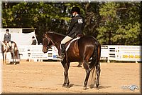 4H-Dsts-10_2103.jpg