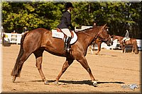 4H-Dsts-10_2110.jpg