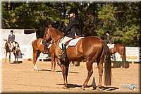 4H-Dsts-10_2111.jpg