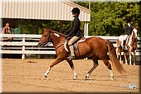 4H-Dsts-10_2115.jpg