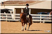 4H-Dsts-10_2118.jpg